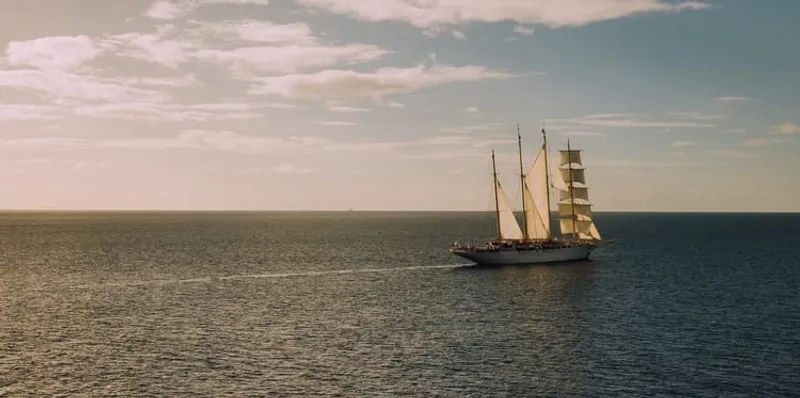 🏴‍☠️ One of Us