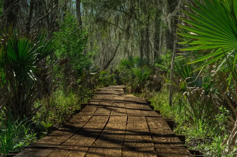 🎖️ Encourage acts of leadership at all levels