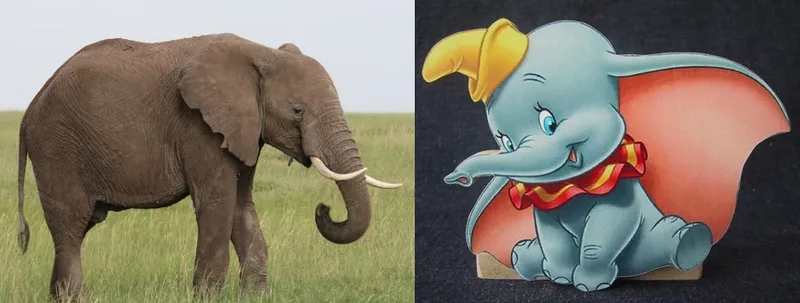 Clean language basics