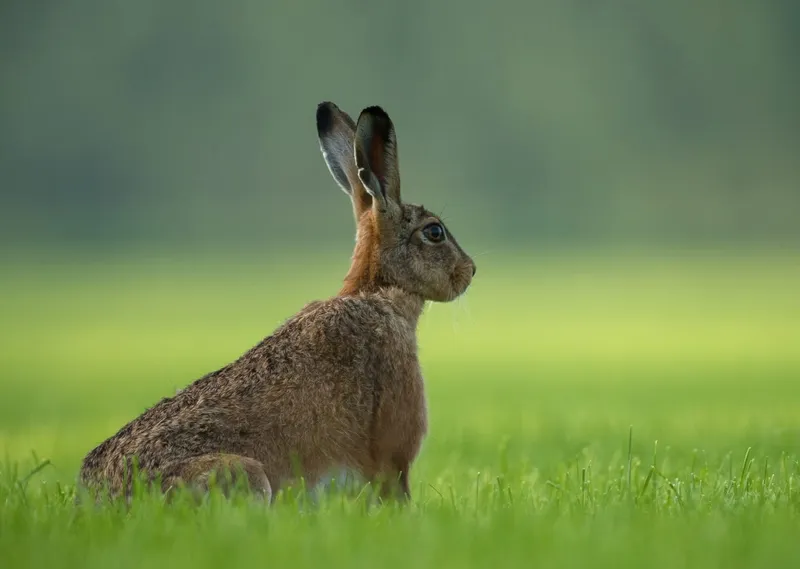 Outcome Focused Leadership